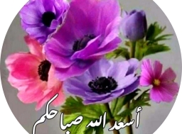 مجموعة من الورود  وتحية بجملة أسعد الله صباحكم