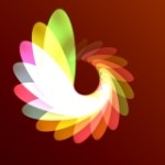 شكل بيضاوي طويل مُكرَّر بأحجام متزايدة في ترتيب يعطي شكل دجاجة تخبّئ رأسها تحت جناحها.